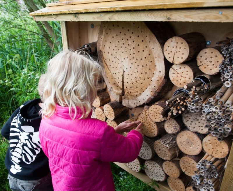 BELEEFPAD - KETHELPOORT