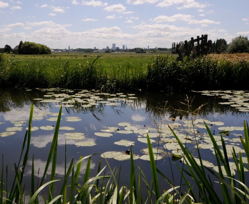 Fietsrondje Kethel en Ackerdijk