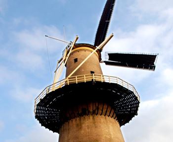 Windmill De Palmboom