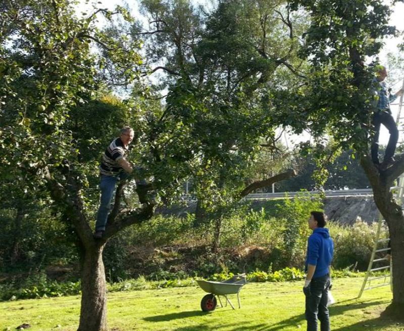 Stadstuinieren Voedselbank Schiedam