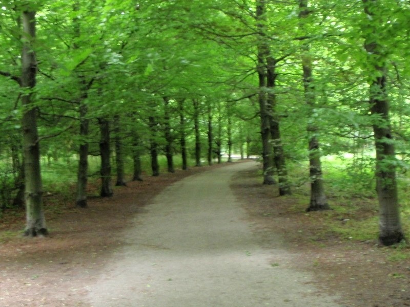 Volkspark / Sterrebos