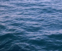 Watersportvereniging De Vrije Liggers