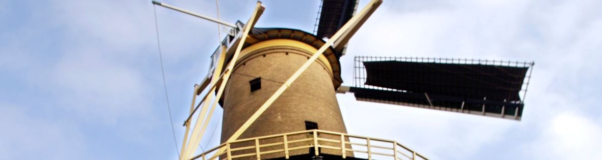 Windmill De Palmboom