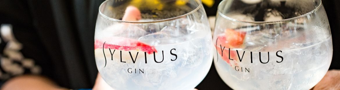 Sylvius Gin