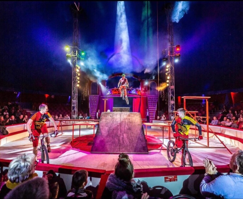 Circus Up 