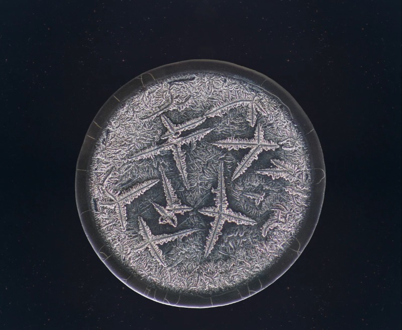 Expositie Imaginarium of Tears – Maurice Mikkers