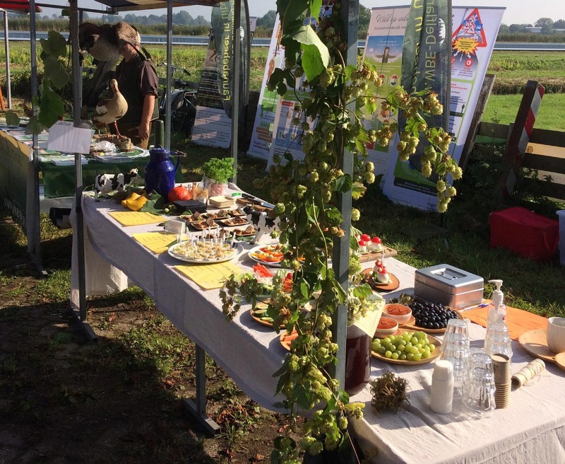 Boerenoogstfeest Schaapskudde Vockestaert