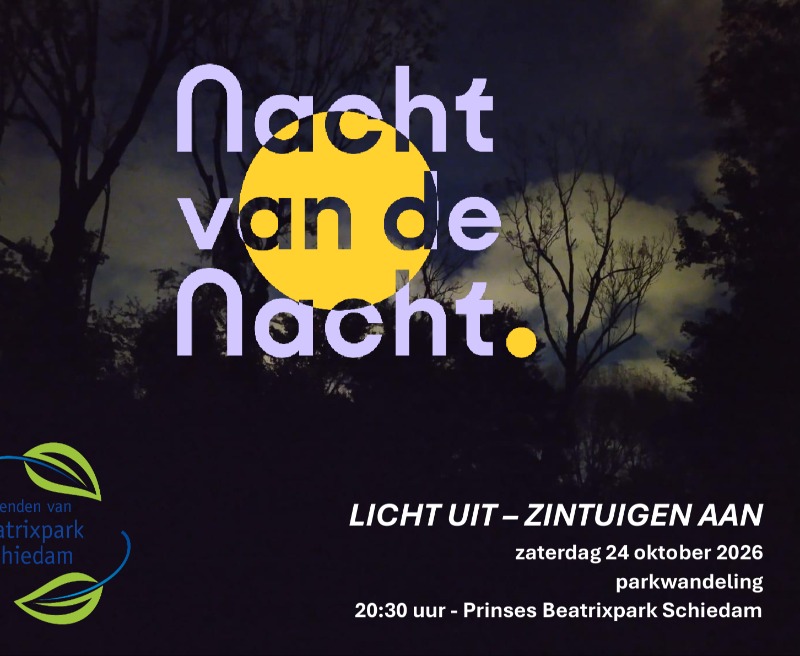 Nachtwandeling Schiedam