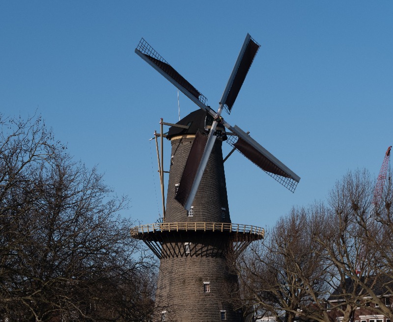 Schilderworkshop bij Molen de Walvisch