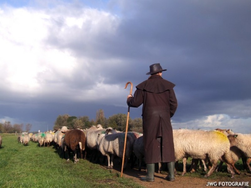 Meelopen met de herder & verhalen in de hooiberg