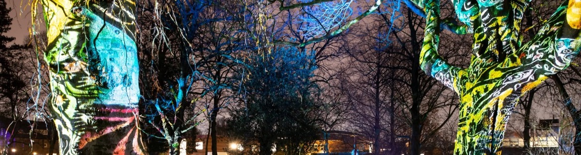  Winterlicht
