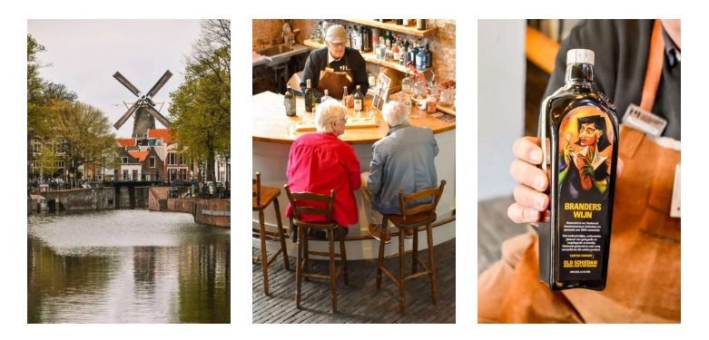 Reisgoesting - Hoekse Lijn
