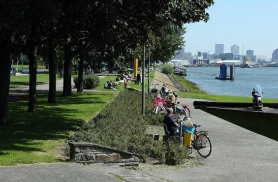 Wijk Zuid