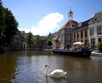 rondvaart fluisterboot