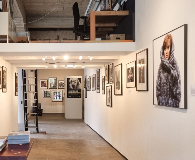 Tone & Image Gallery 