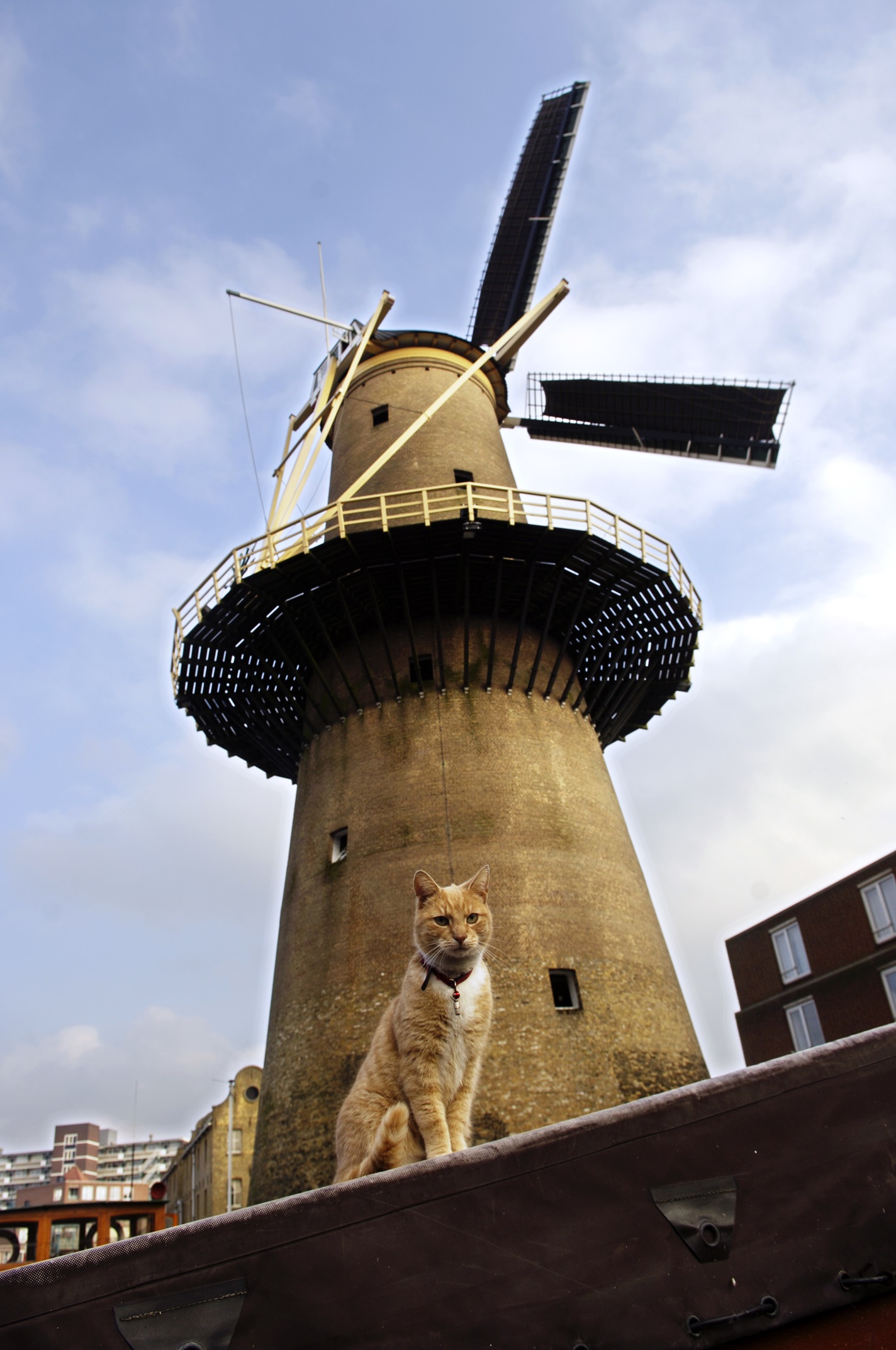 Molen De Palmboom